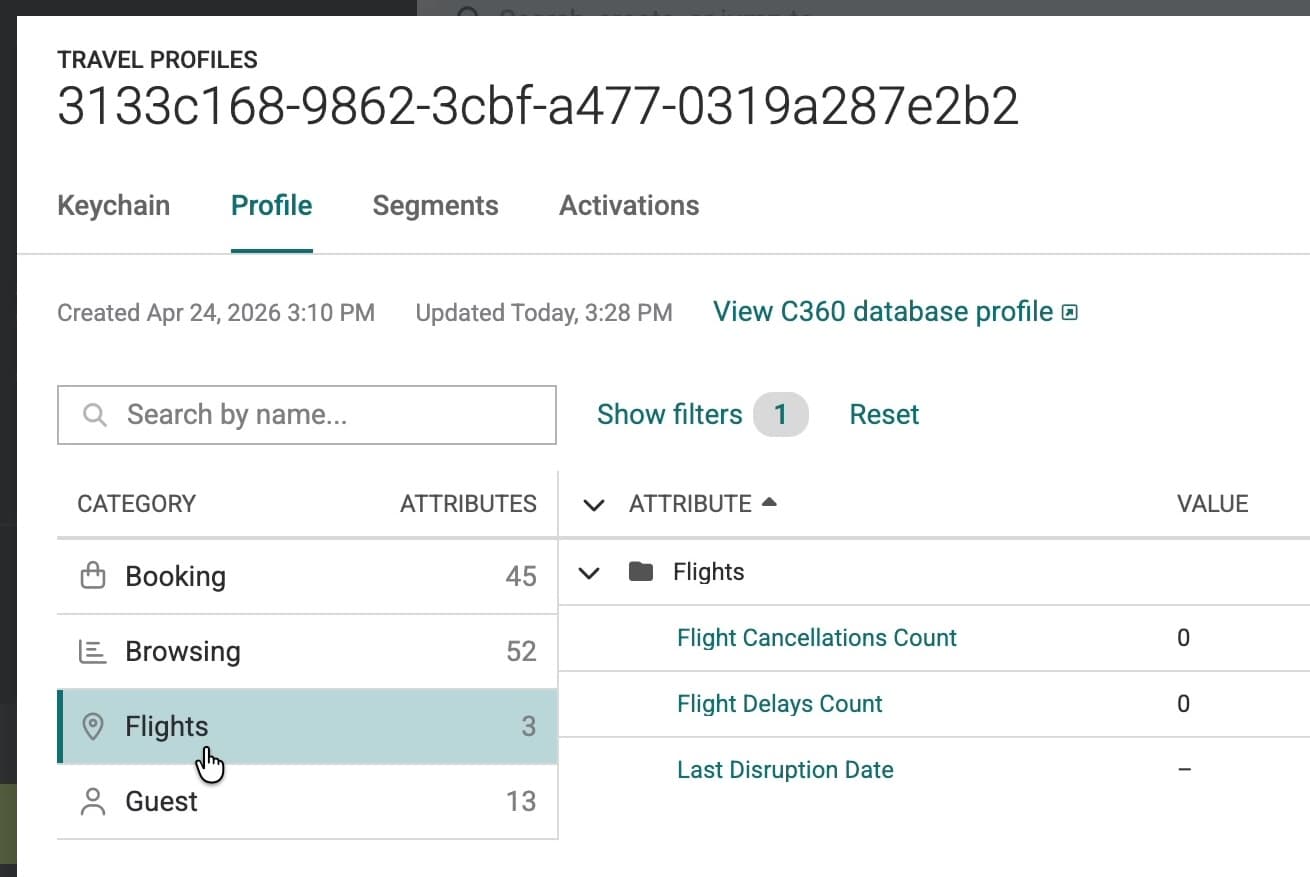 Real-time profile viewer showing grouped customer profile attributes.