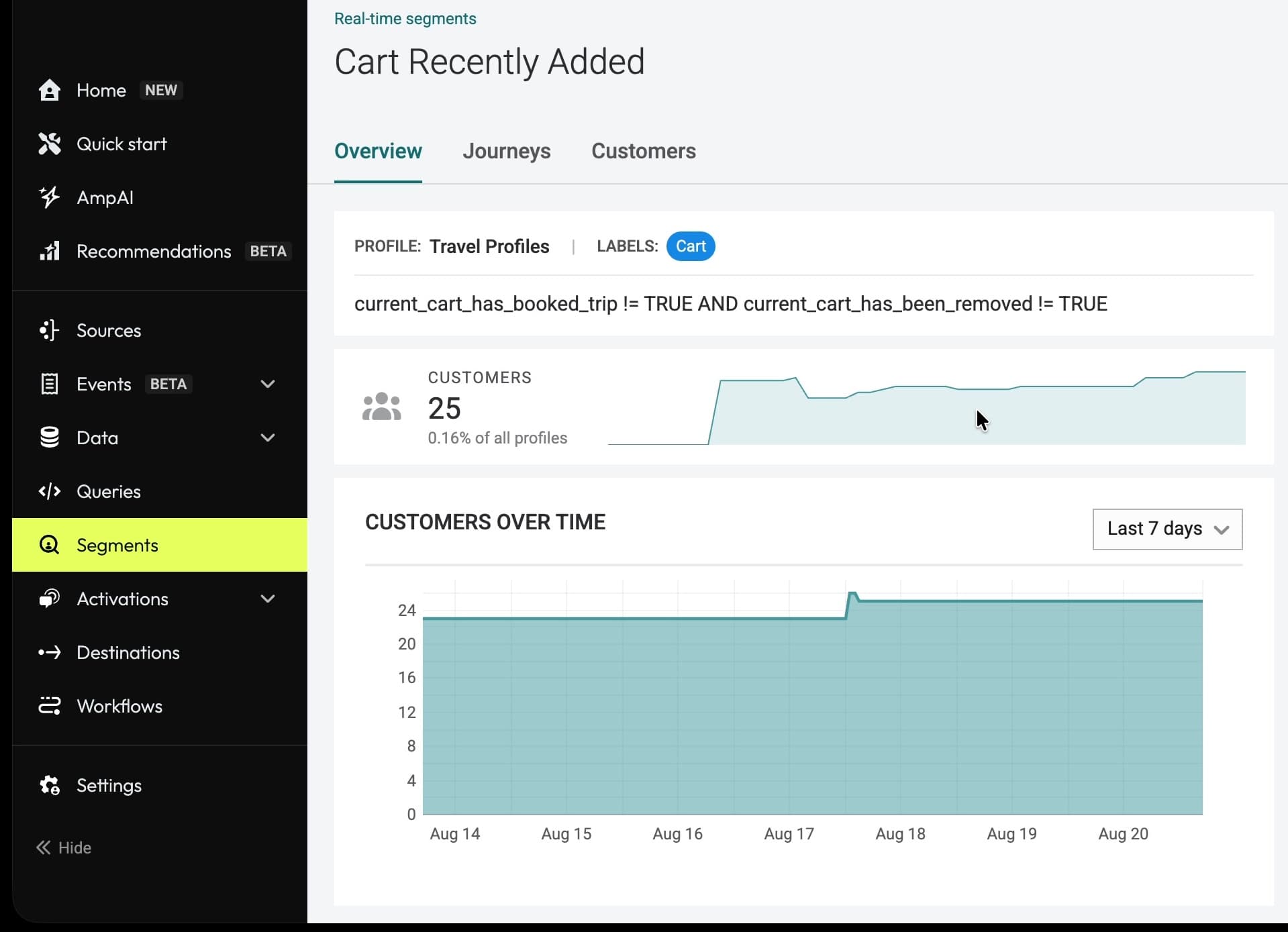 Real-time segment overview showing membership, profile share, labels, and customer trends.