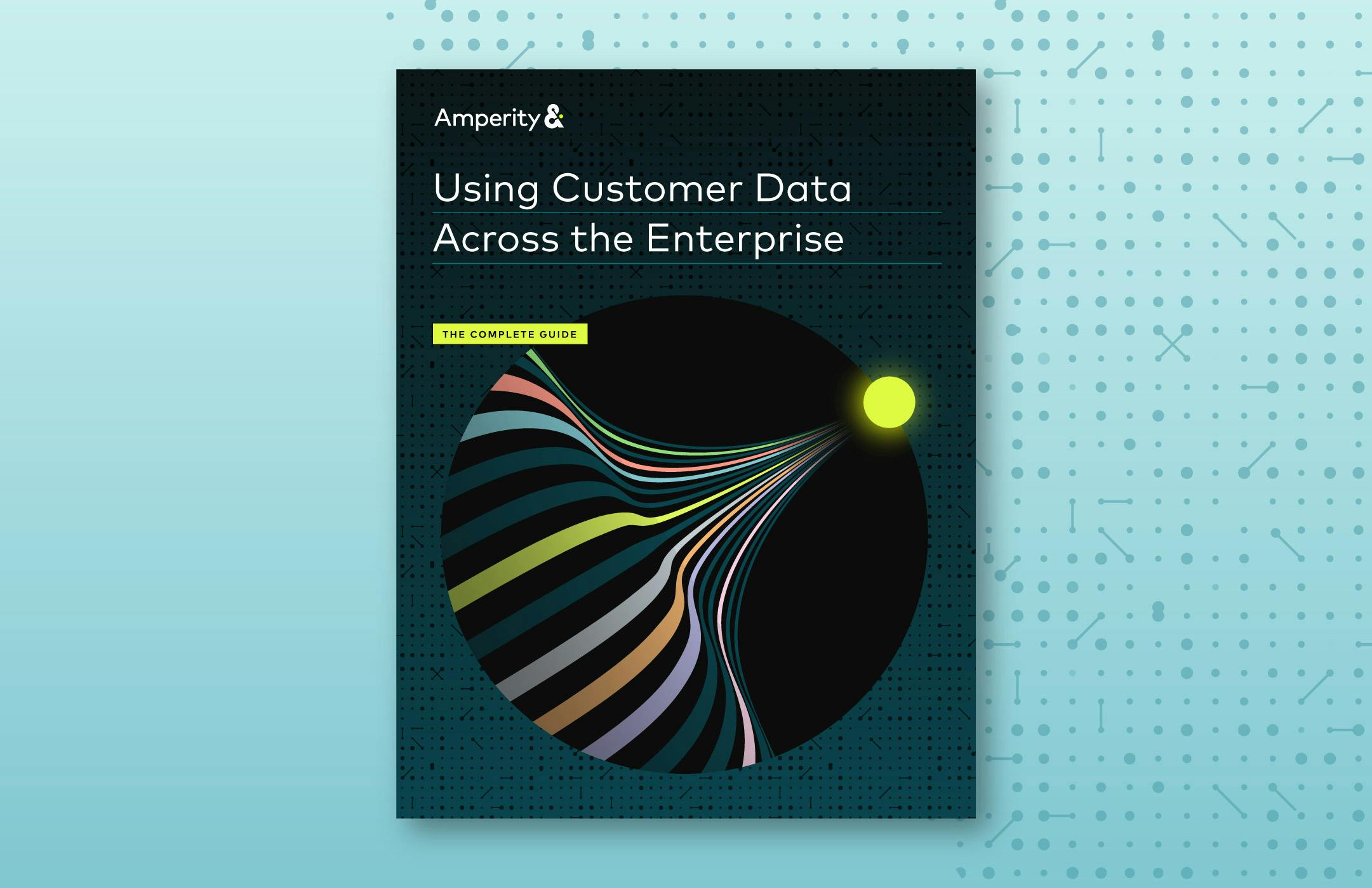 Image displaying guide: Using Customer Data Across the Enterprise. 